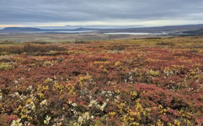 Tjaldferð útivistar