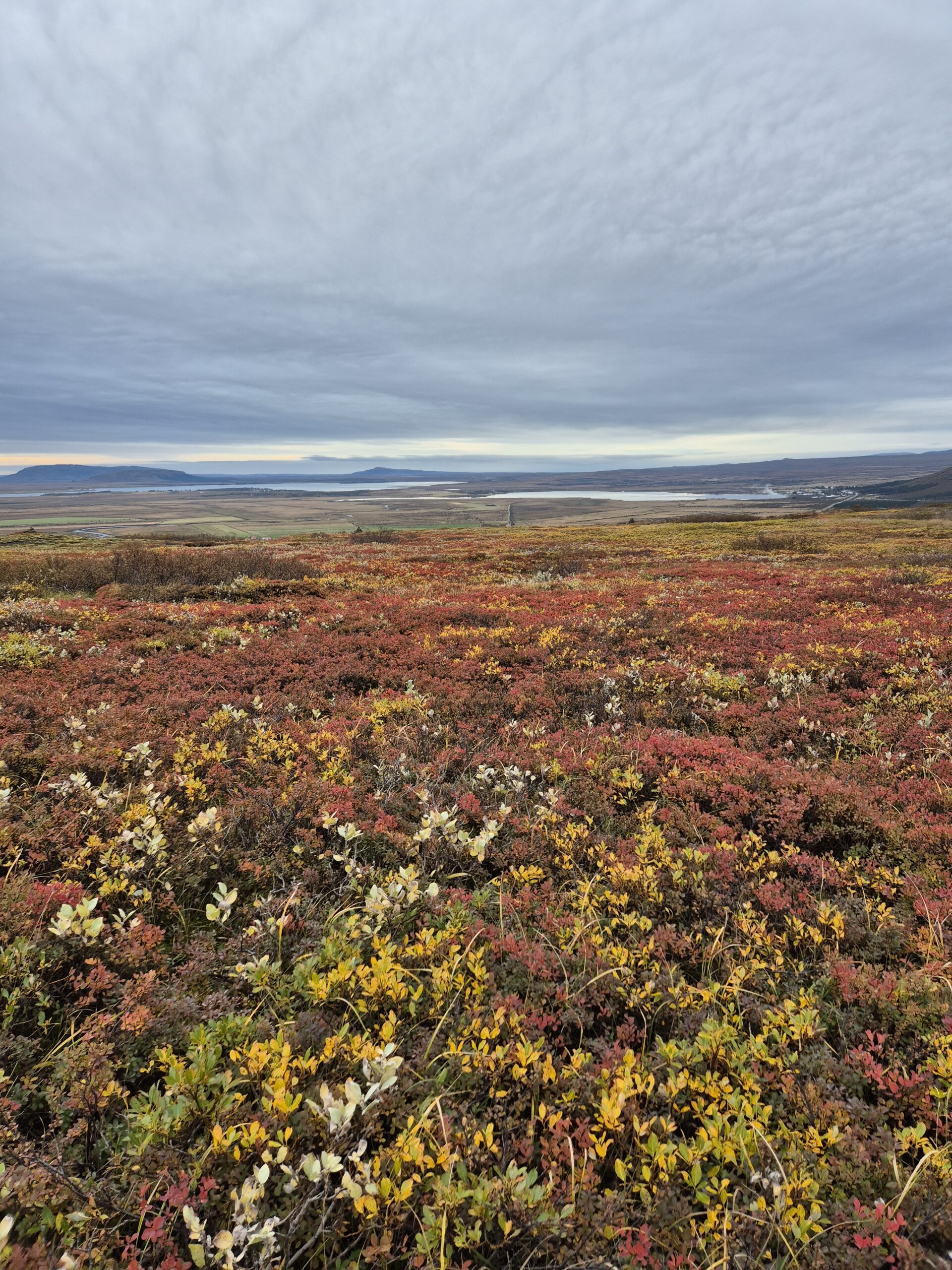 Tjaldferð útivistar